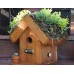Living Roof Bird House 